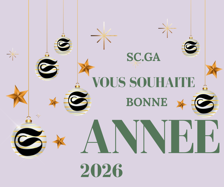 You are currently viewing ✨ Meilleurs vœux pour cette nouvelle année ✨